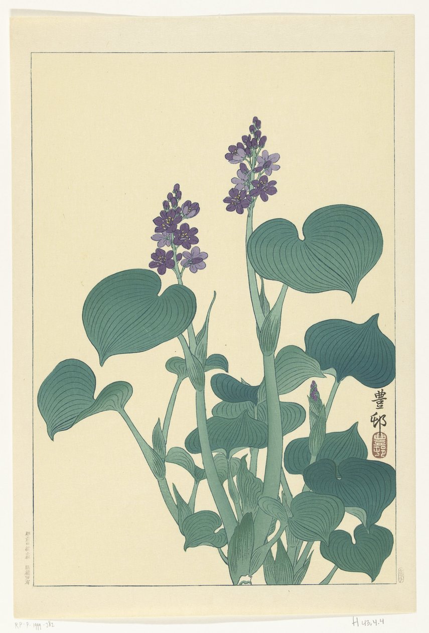 çiçekli hosta by Ohara Koson