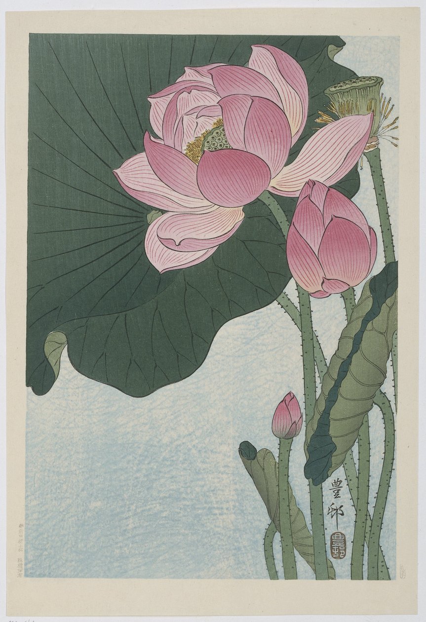çiçek açan nilüfer çiçekleri by Ohara Koson