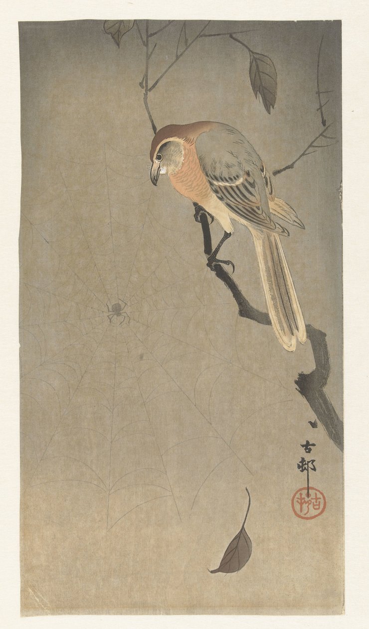 Bufalo Kafalı Örümcek ve Örümcek by Ohara Koson