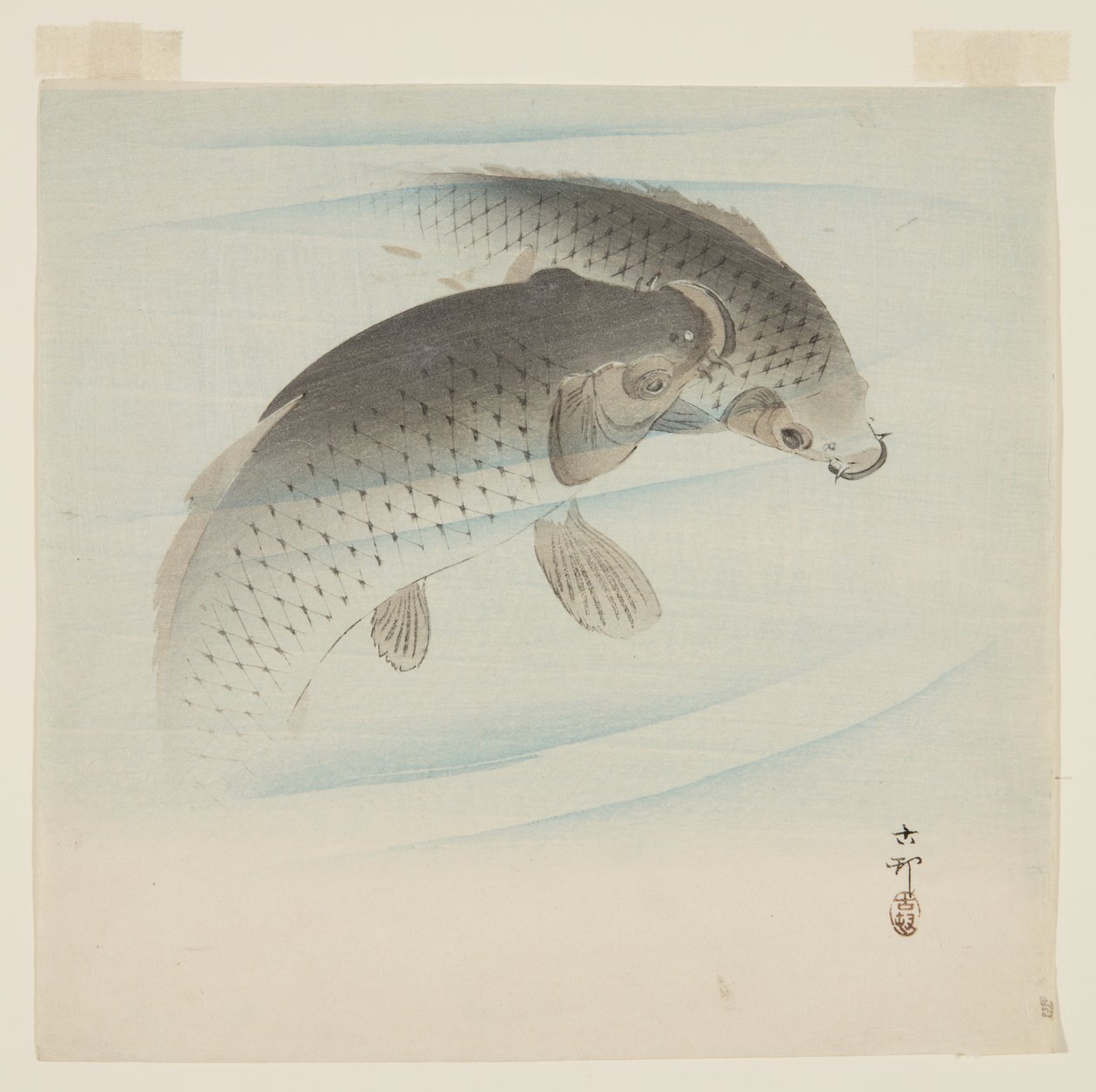 Sazan (Koi) (renkli tahta baskı) by Ohara Koson