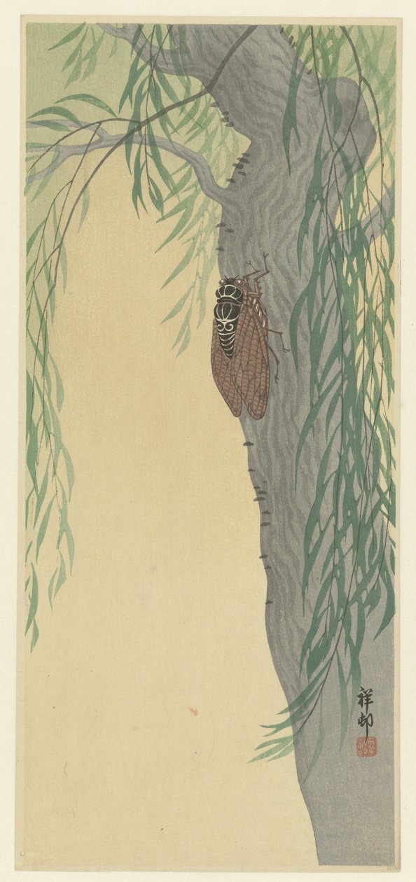 ağaçta ağustos böceği by Ohara Koson