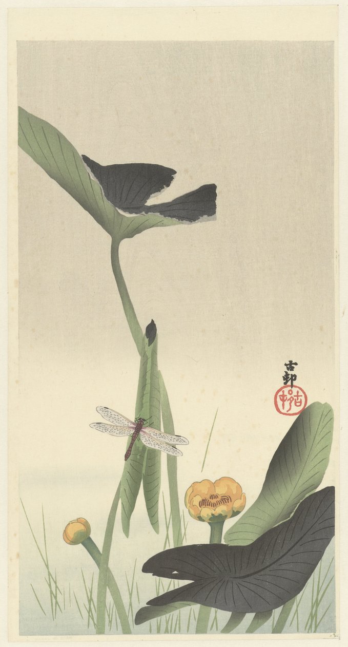 Yusufçuk ve lotus çiçeği, 1900-30 civarı (renkli gravür) by Ohara Koson