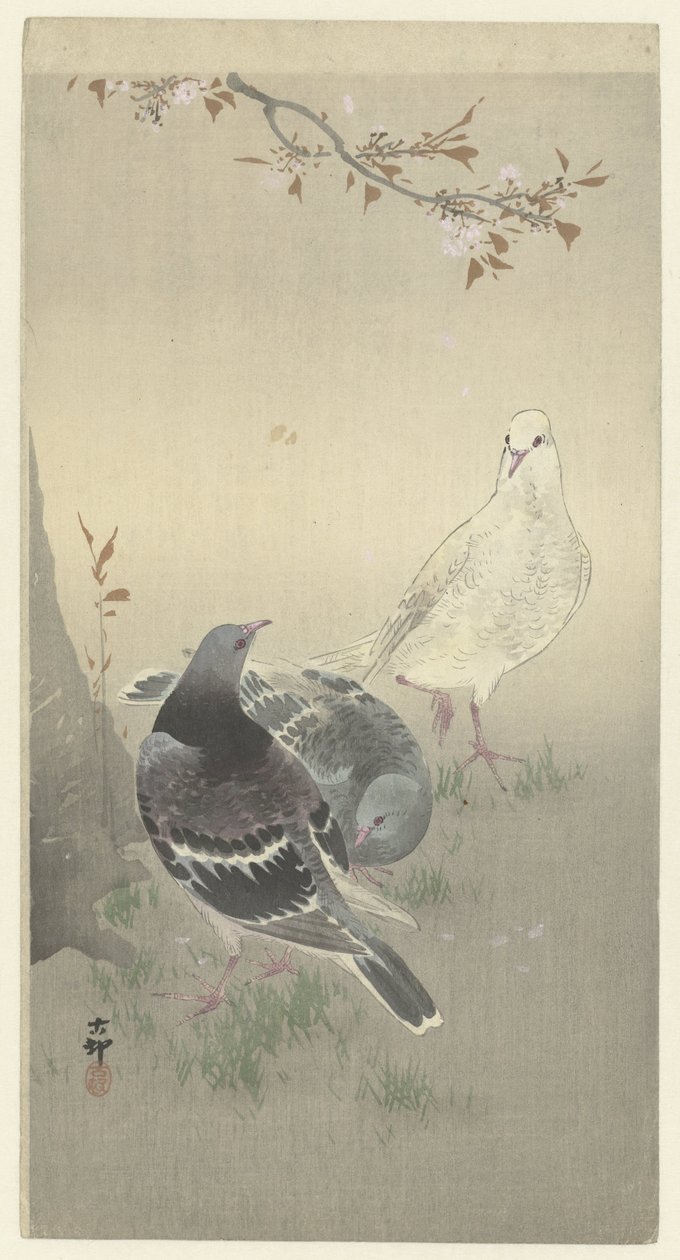 Üç evcil güvercin by Ohara Koson