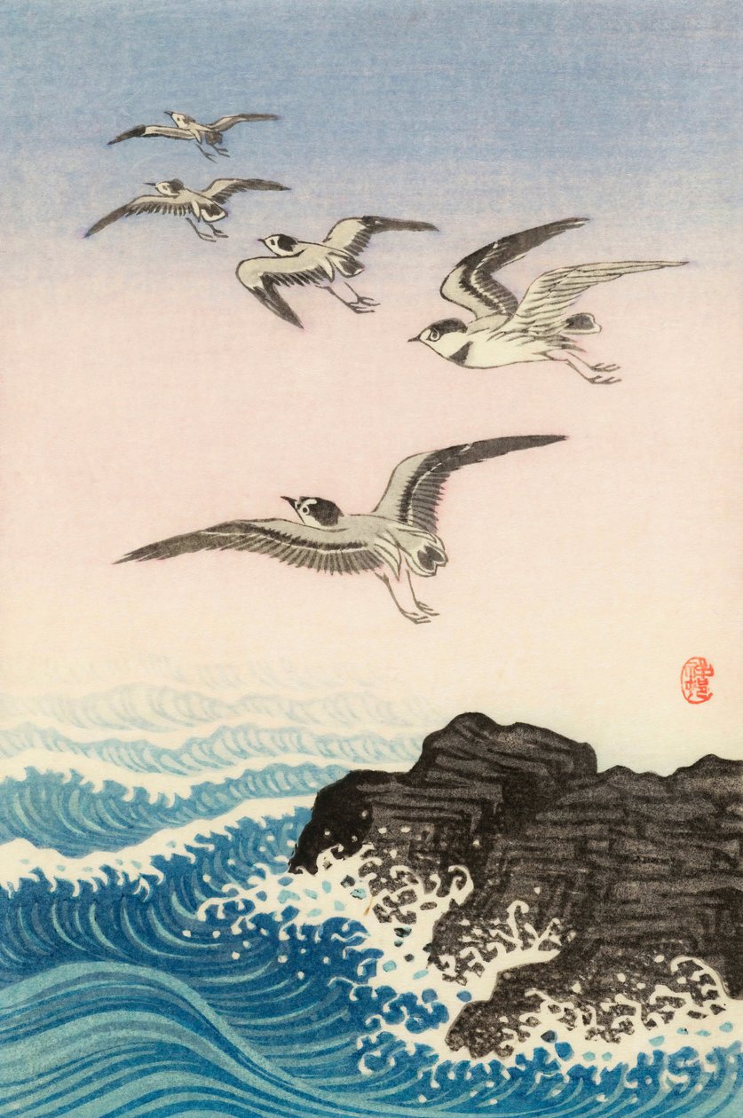 Denizde Bir Kayanın Üzerinde Beş Martı, 20. yüzyıl (Japon baskısı) by Ohara Koson