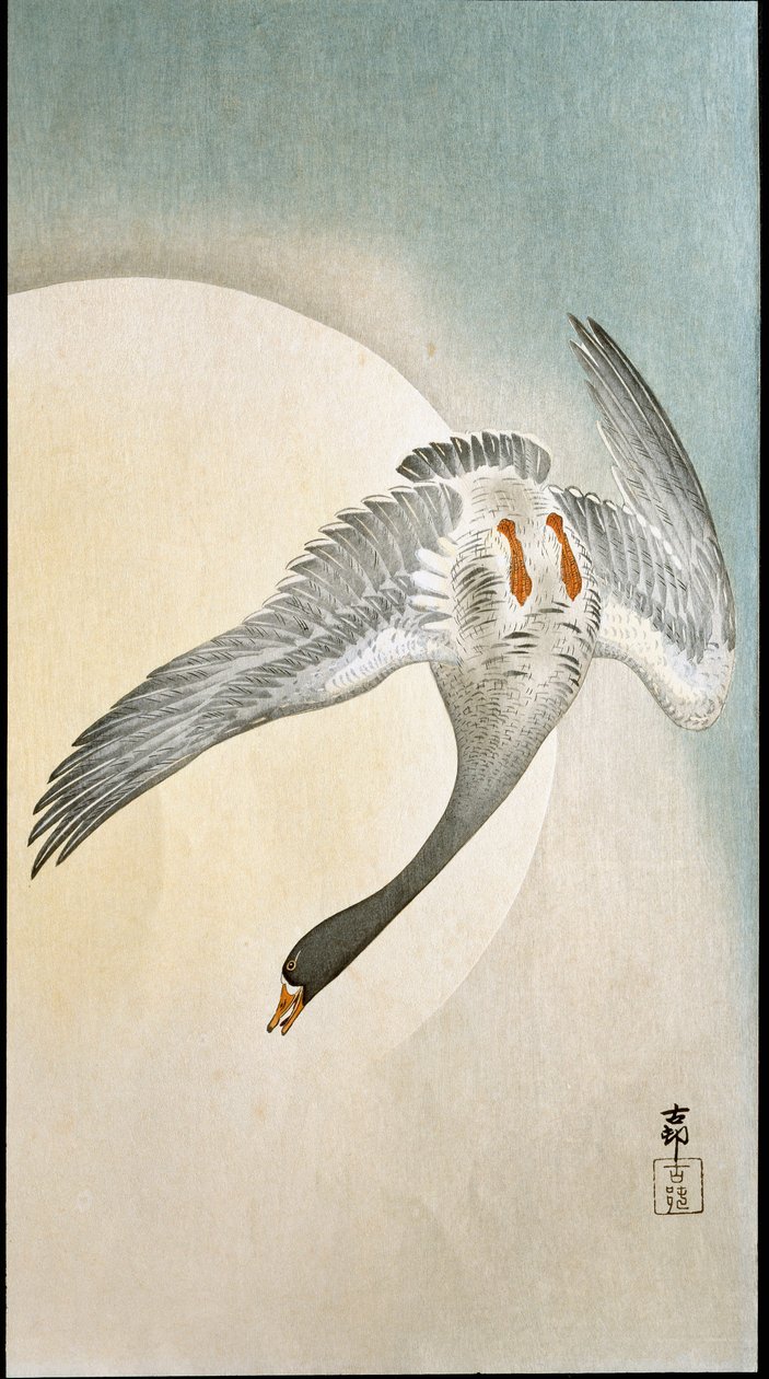 Ay ışığında ördek uçuşu Xylography ve Japon baskısı Ohara Koson (1877-1945) 1908 Özel koleksiyon DR by Ohara Koson