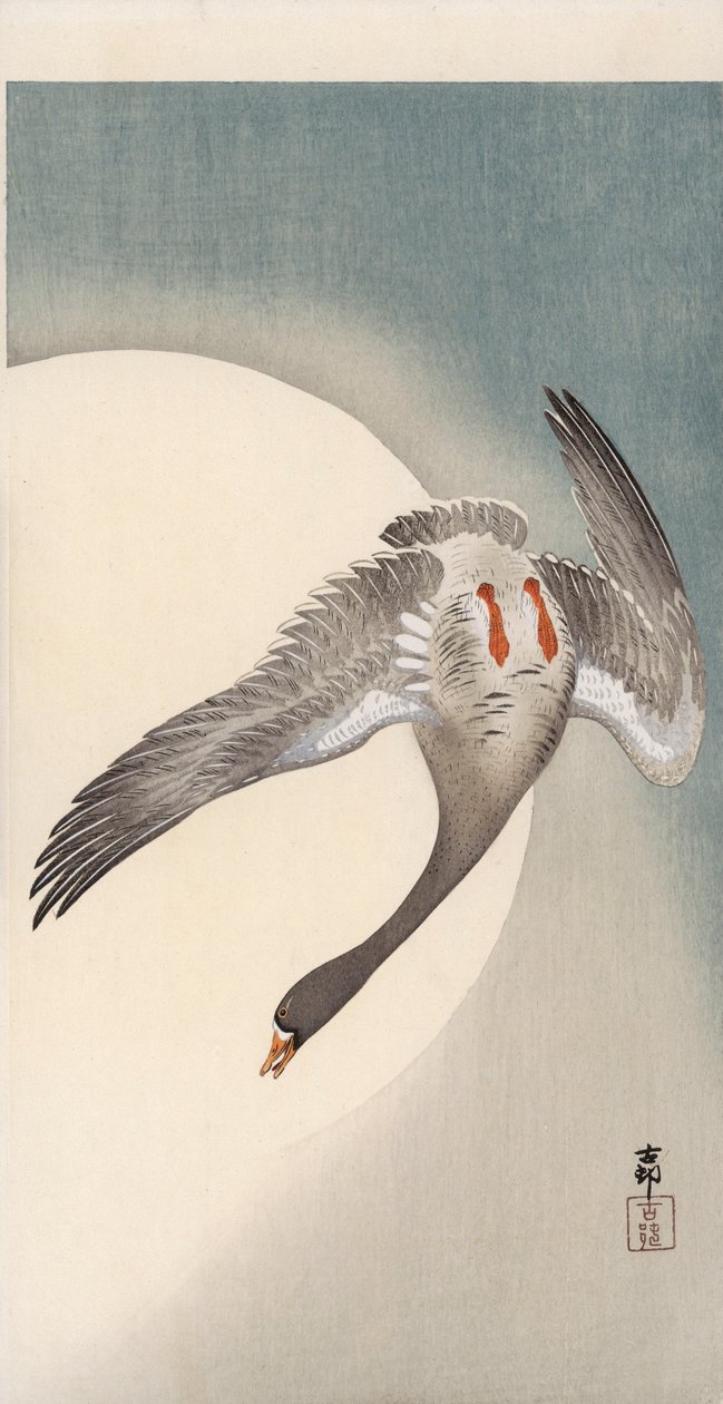 Ayın önünde alttan görülen beyaz önlü uçan kaz (renkli tahta baskı) by Ohara Koson