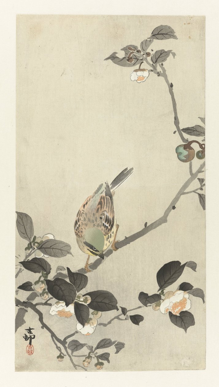 Çiçek dalı üzerinde kiraz kuşu by Ohara Koson