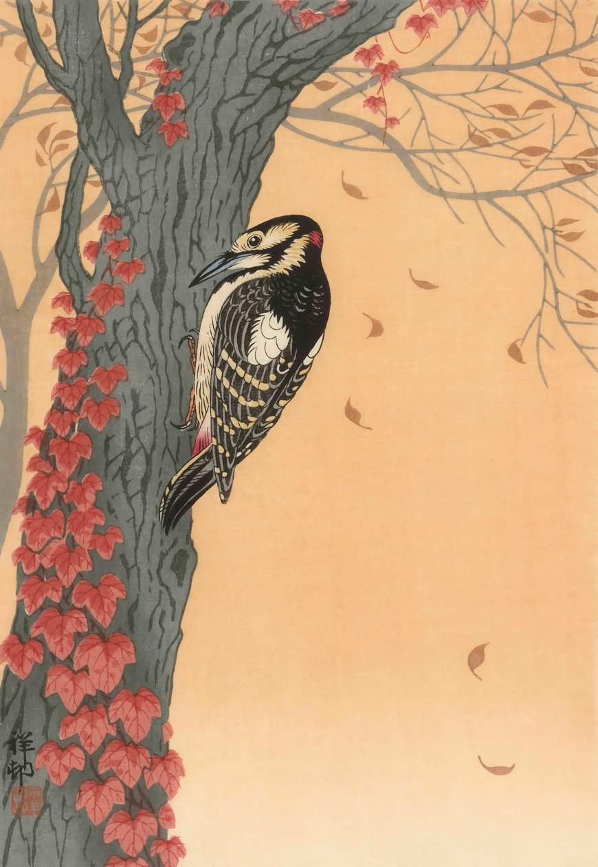 Kırmızı Sarmaşıklı Ağaçta Büyük Benekli Ağaçkakan, 20. yüzyıl (Japon baskısı) by Ohara Koson