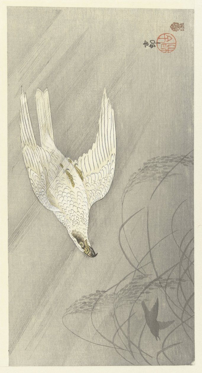 av şahin by Ohara Koson