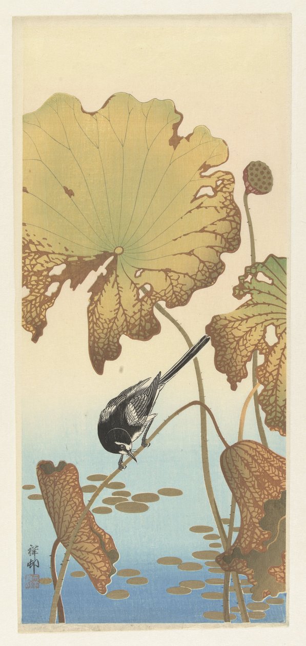 Lotus bitkisi üzerinde Japon kuyruksallayan by Ohara Koson