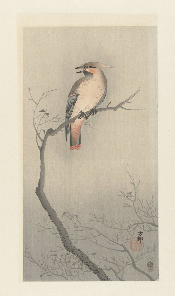 Dalda Japon Ağda by Ohara Koson