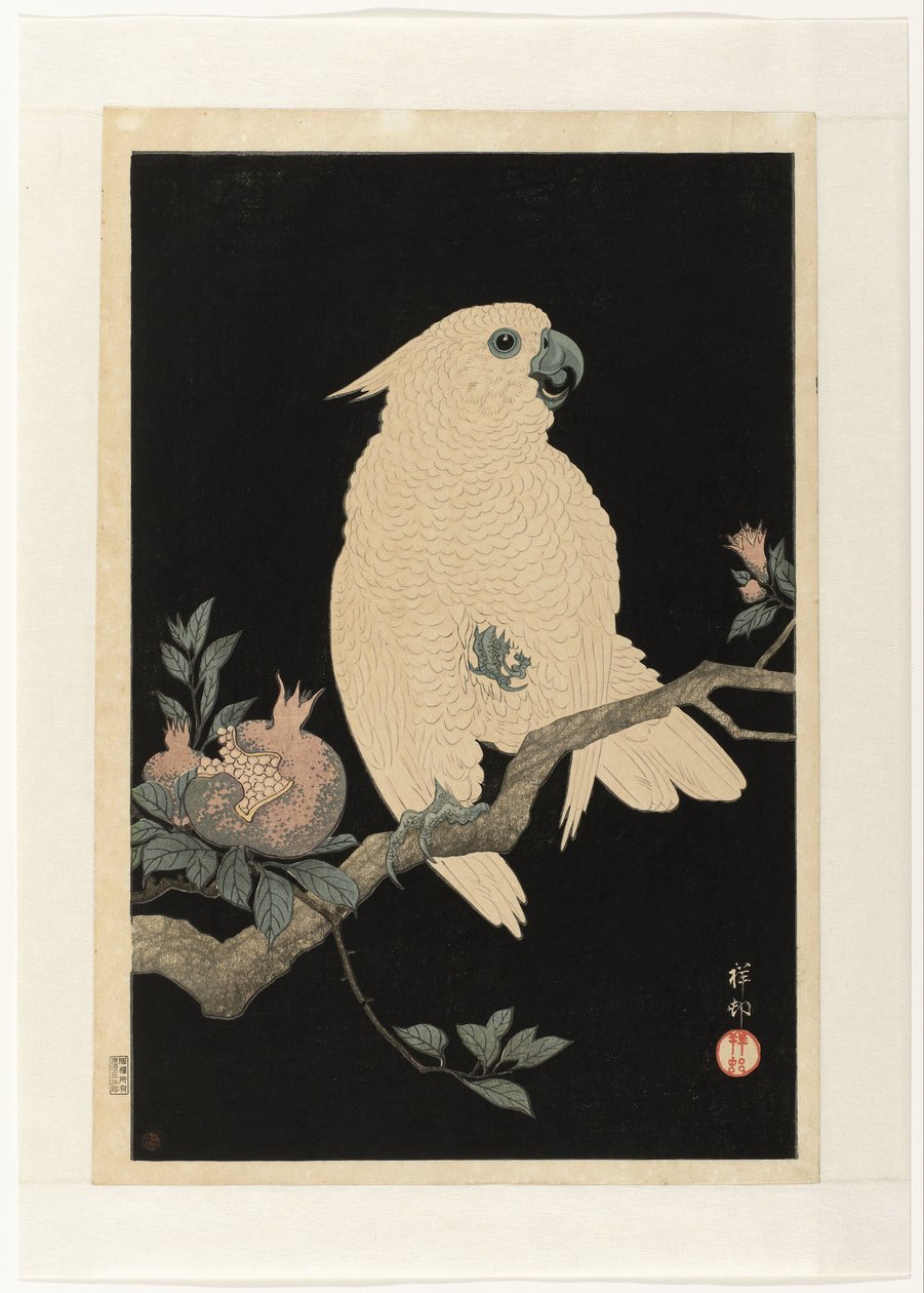 Narlı Kakadu by Ohara Koson