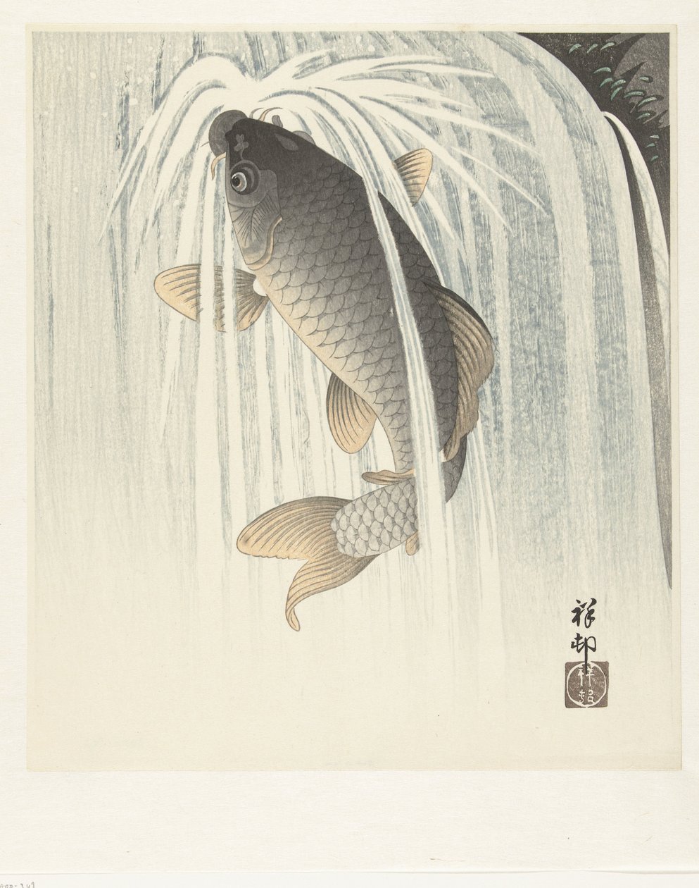 Sazan by Ohara Koson