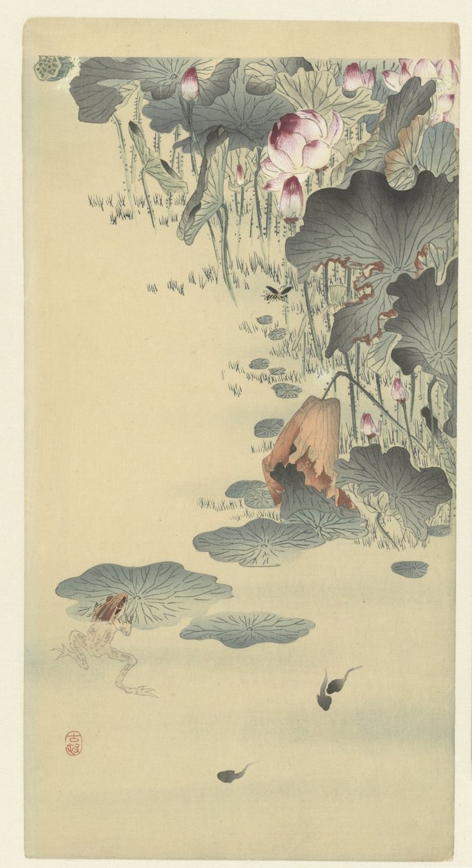 Kurbağa ve iribaşlar by Ohara Koson