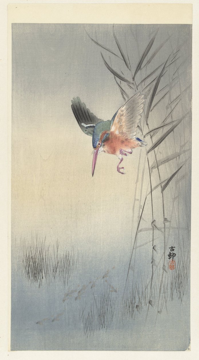 Balık avlayan yalıçapkını (renkli gravür) by Ohara Koson