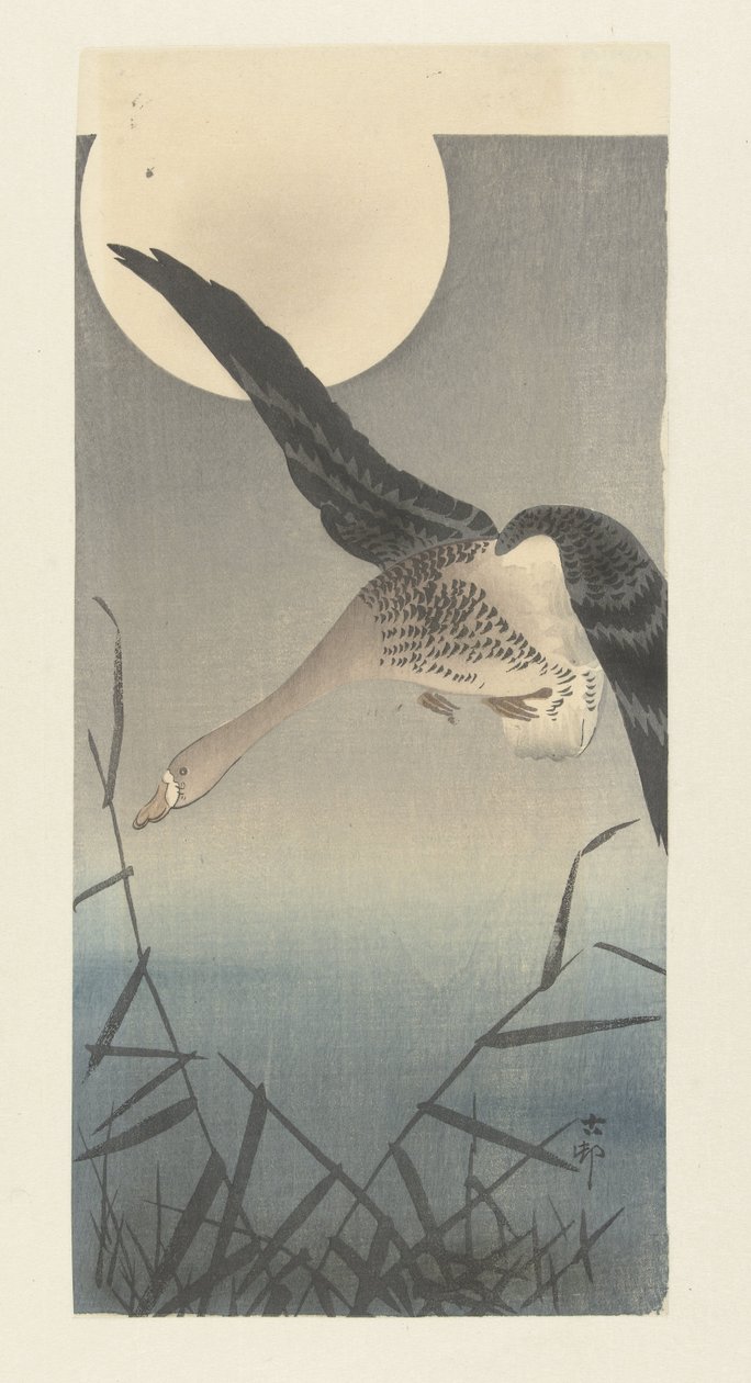 Dolunayda beyaz önlü kaz by Ohara Koson