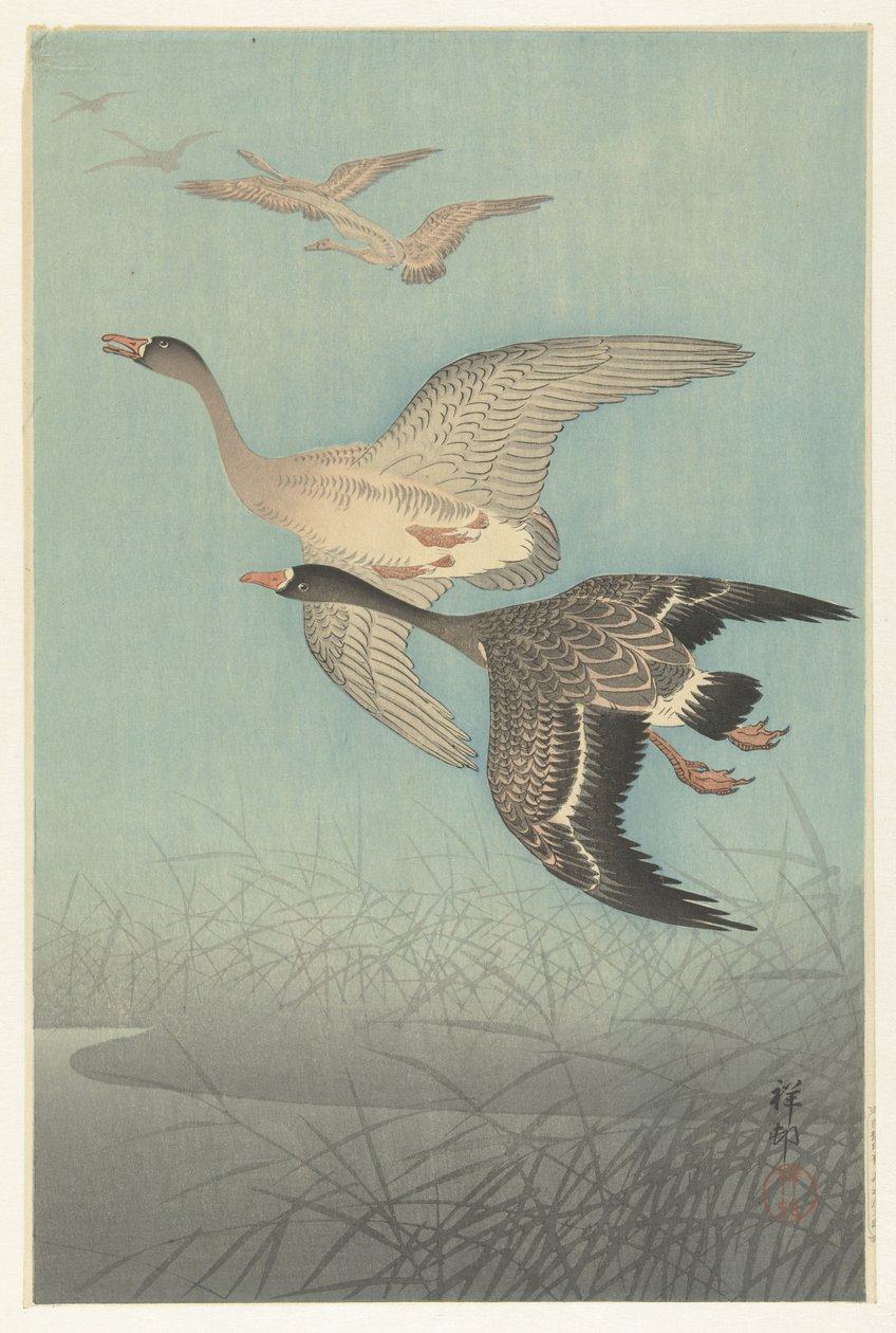 Beyaz önlü kazlar uçuşta by Ohara Koson