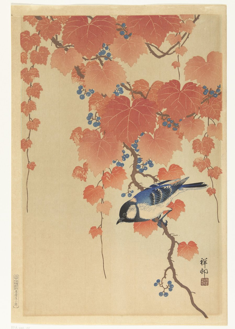Paulownia dalında büyük baştankara by Ohara Koson