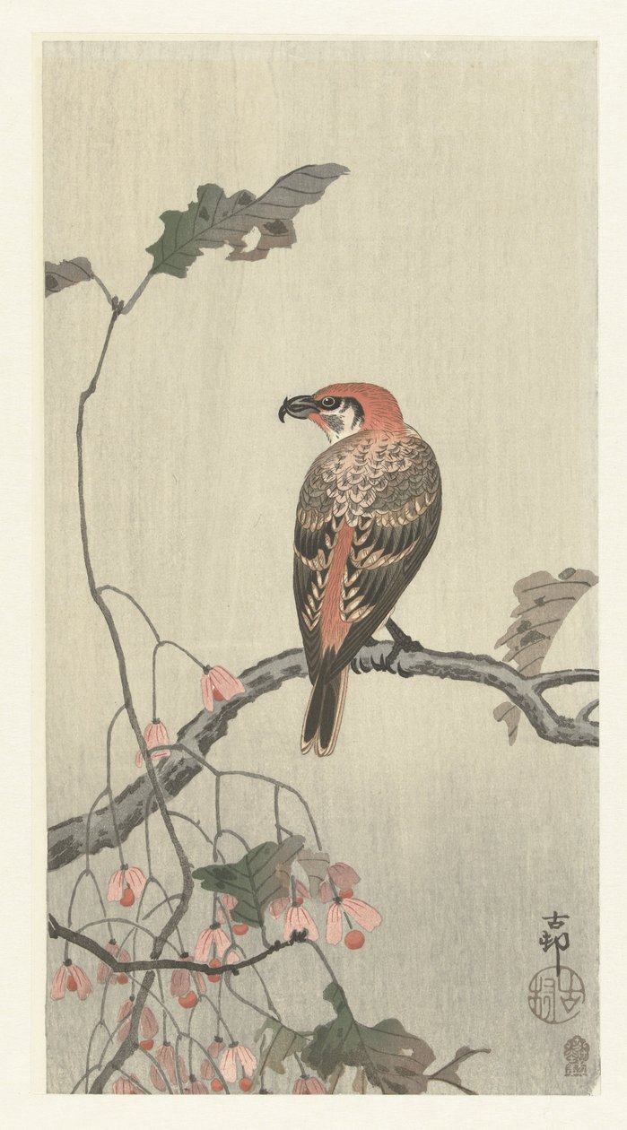 Ağaç dalı üzerinde çapraz fatura by Ohara Koson