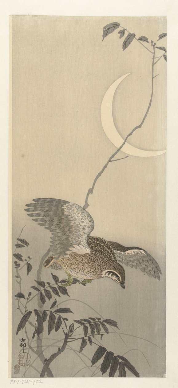 Orak ayda bıldırcın by Ohara Koson