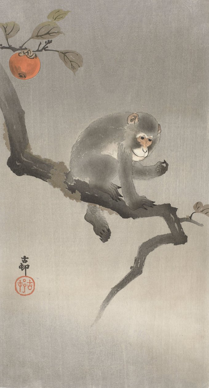 Bir meyve ağacında maymun, 1900-30 (renkli gravür) by Ohara Koson