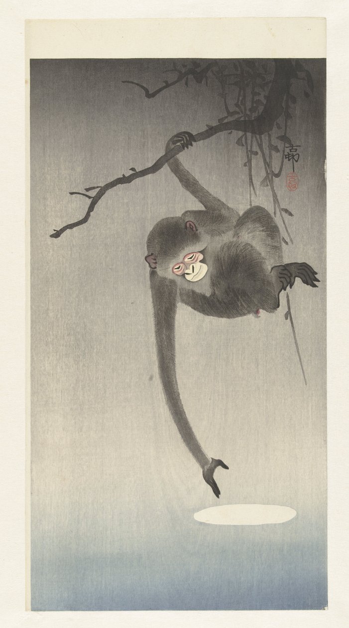 Maymun ayın yansıması için uzanır by Ohara Koson