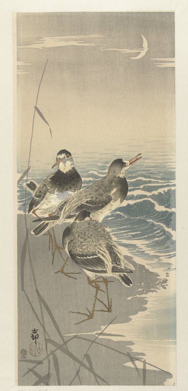 Orak ayda çulluklar by Ohara Koson