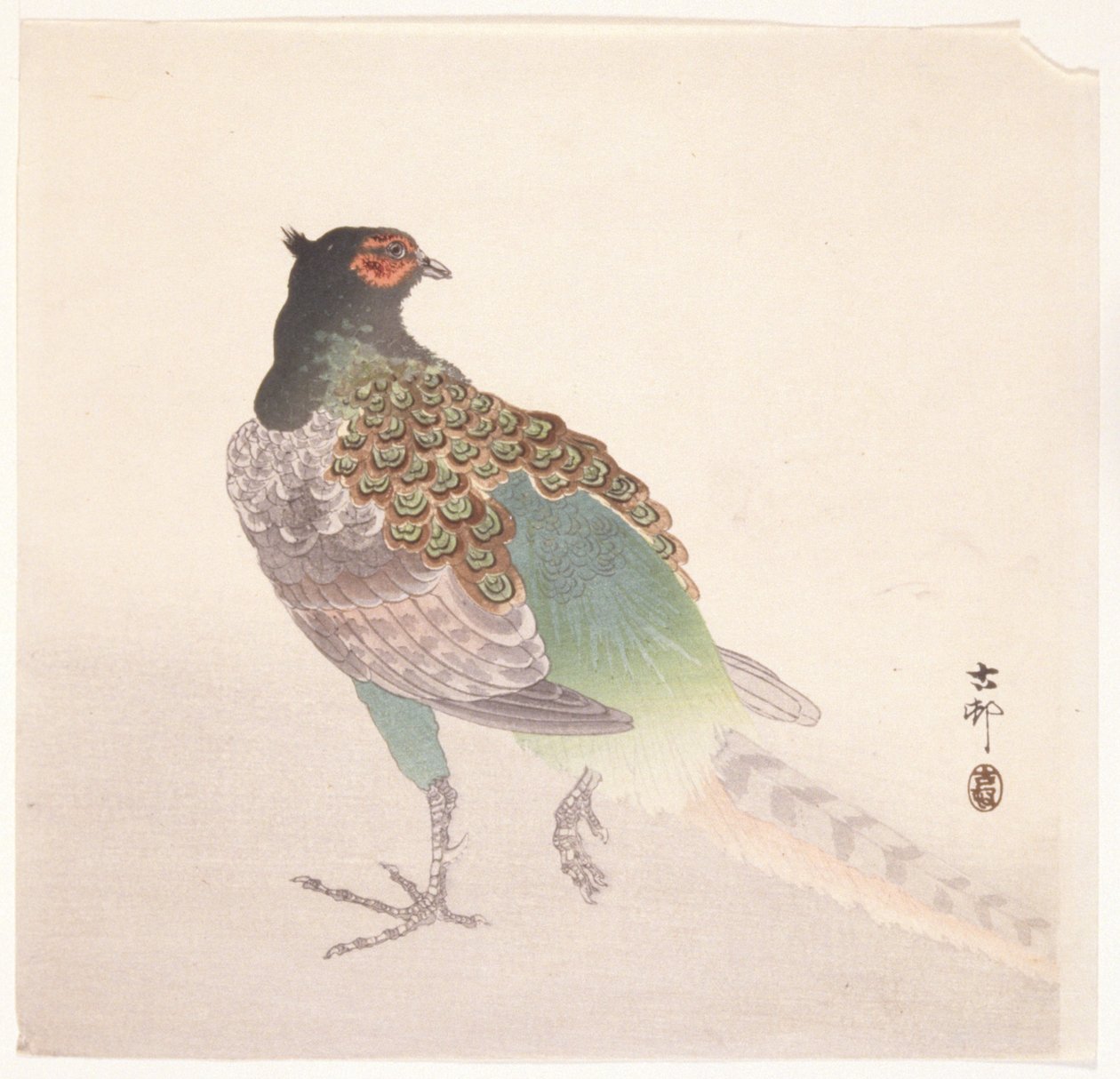 Sülün (renkli tahta baskı) by Ohara Koson