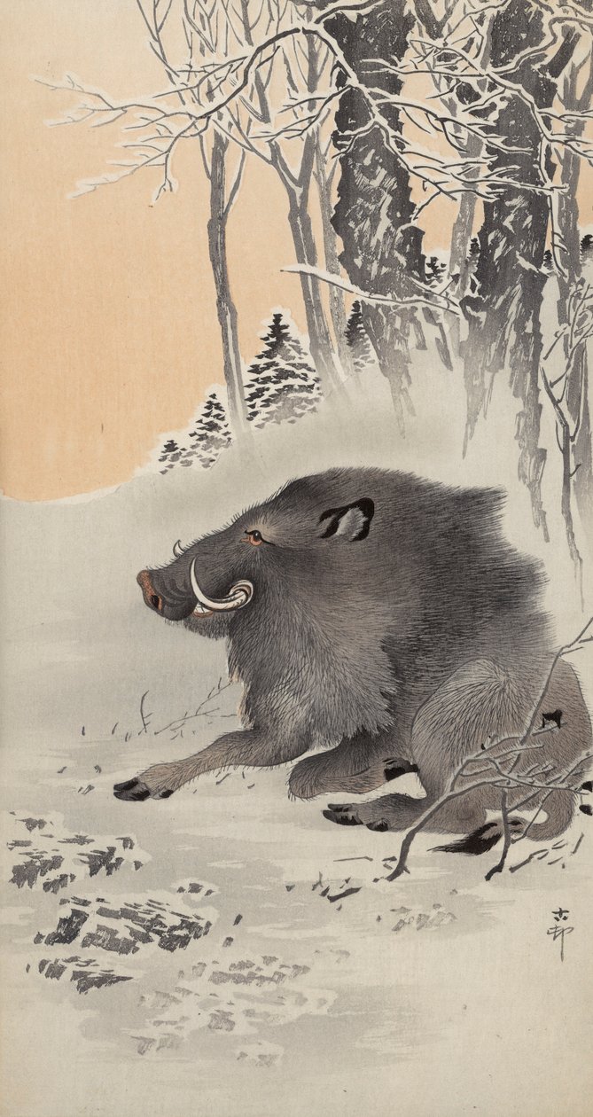 Karla kaplı bir manzarada uzanmış yaban domuzu (renkli tahta baskı) by Ohara Koson