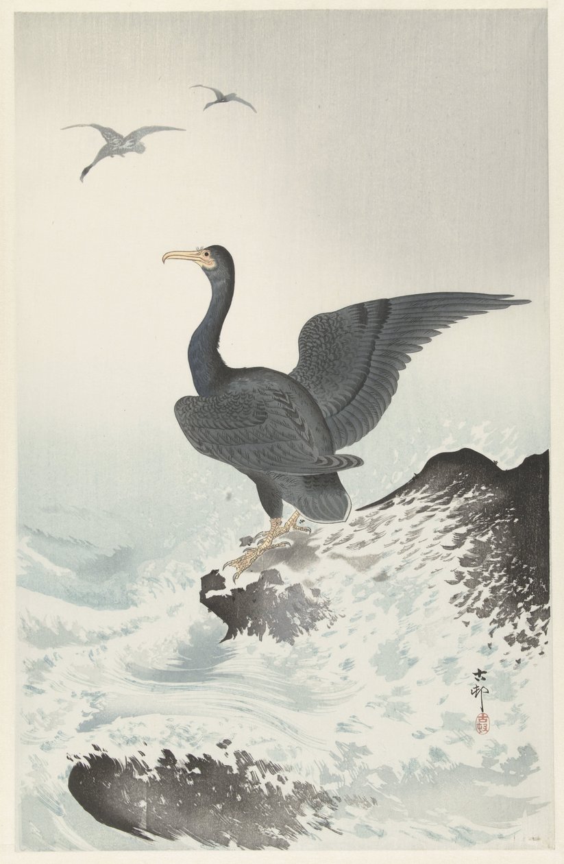 Kayanın üzerinde kırmızı maskeli karabatak by Ohara Koson