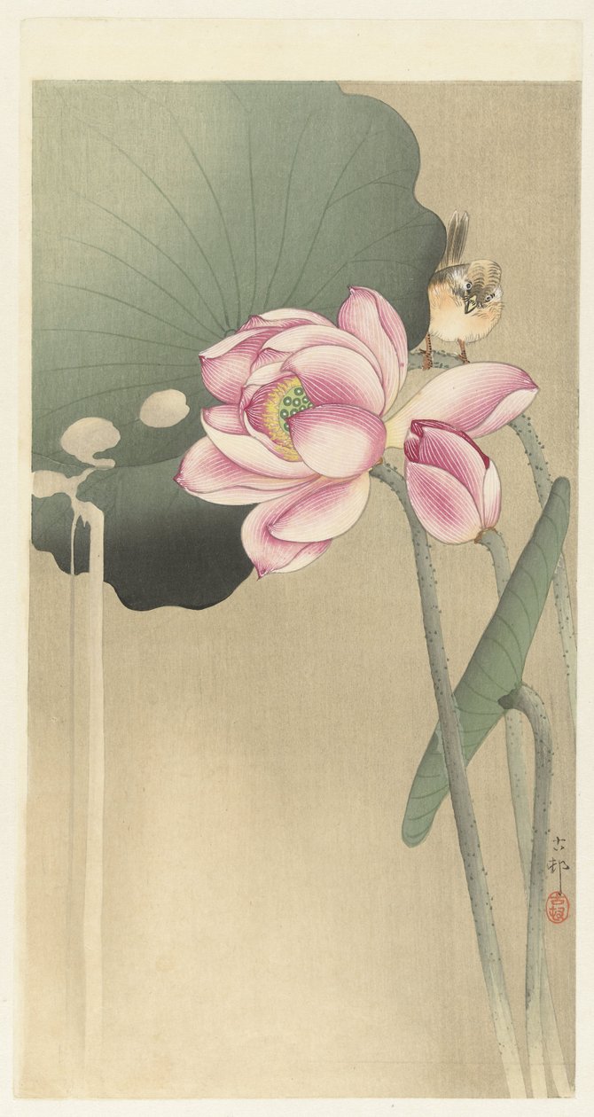 ötücü kuş ve lotus by Ohara Koson