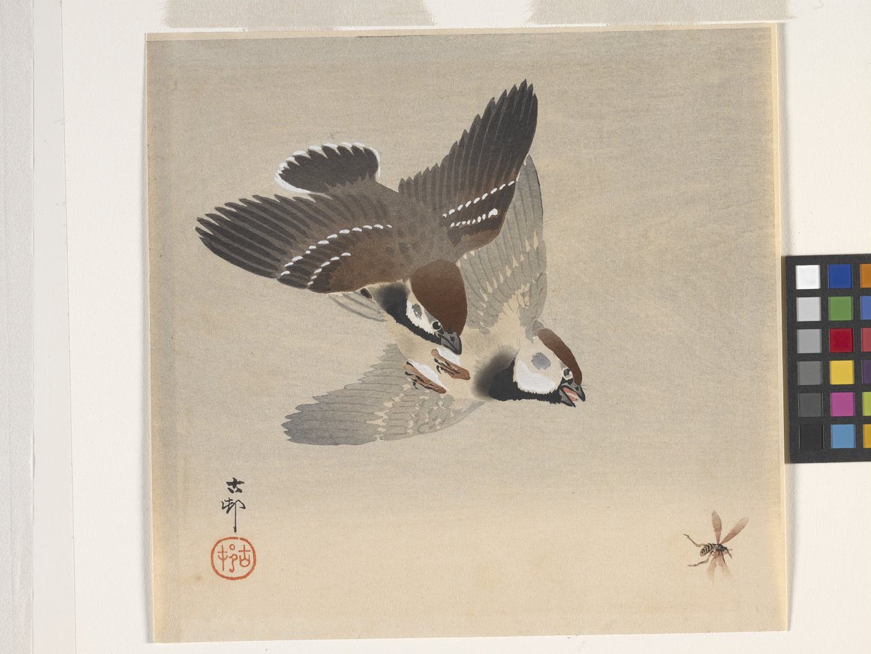 Uçan Böceği Kovalayan Serçeler (renkli tahta baskı) by Ohara Koson