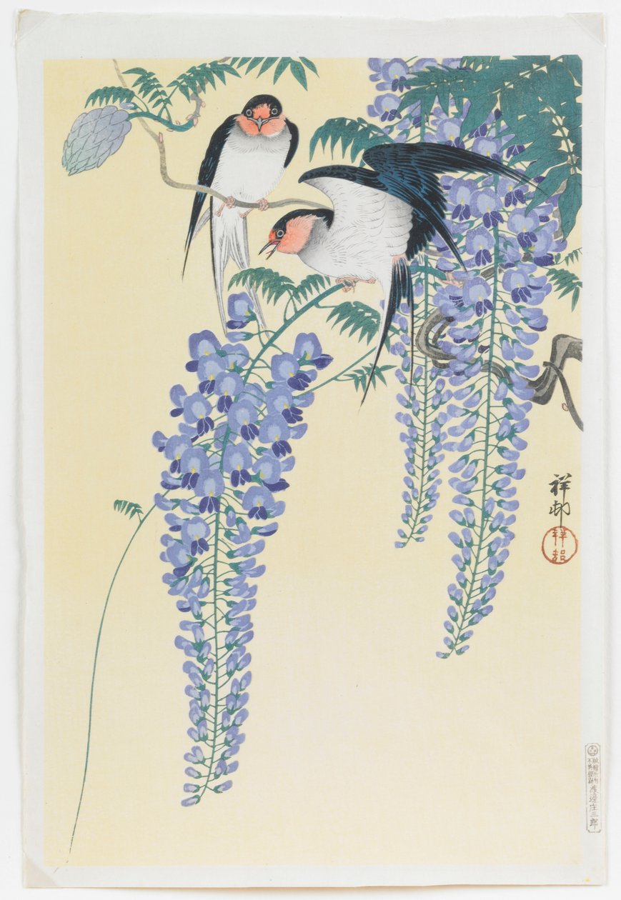 Kırlangıçlar ve Wisteria by Ohara Koson