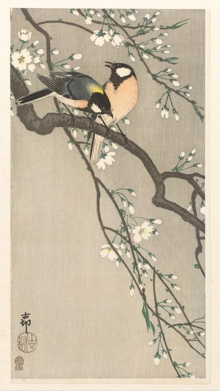 kiraz dalı göğüsleri by Ohara Koson
