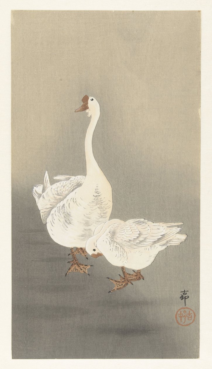 iki kaz by Ohara Koson