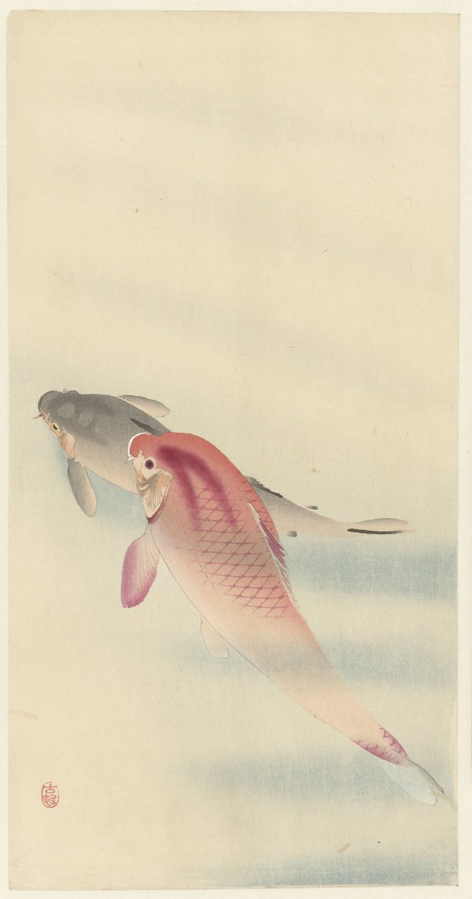 iki sazan by Ohara Koson