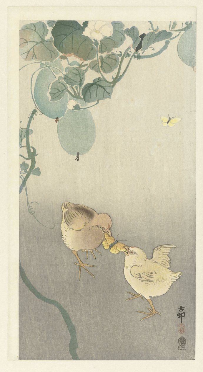 Bir kelebek için savaşan iki civciv by Ohara Koson