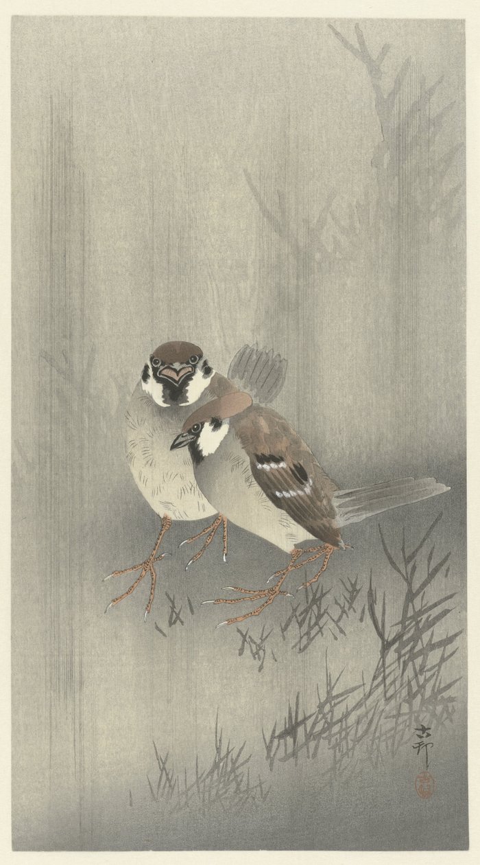 Yağmurda iki halka serçe by Ohara Koson