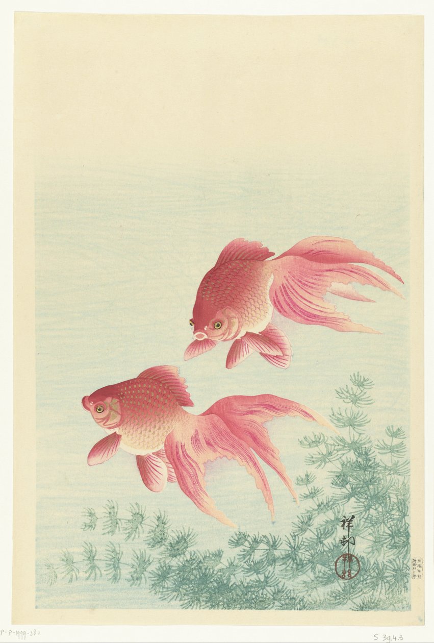 İki peçe kuyruk japon balığı by Ohara Koson