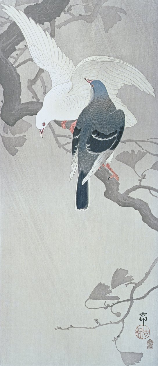 Bir Ginko ağacının dalında yağmurda iki güvercin by Ohara Koson