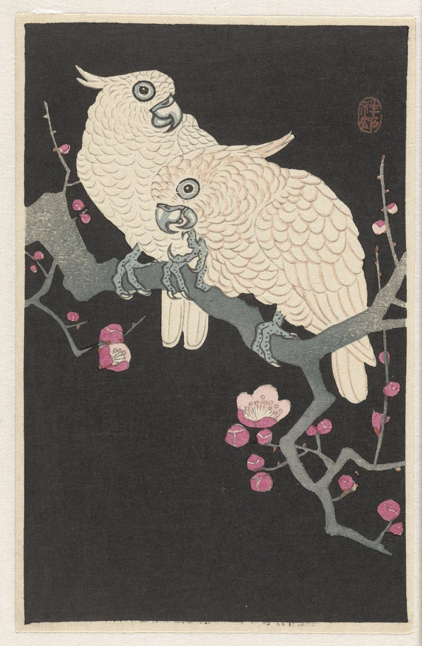 İki kakadu ve erik çiçeği by Ohara Koson