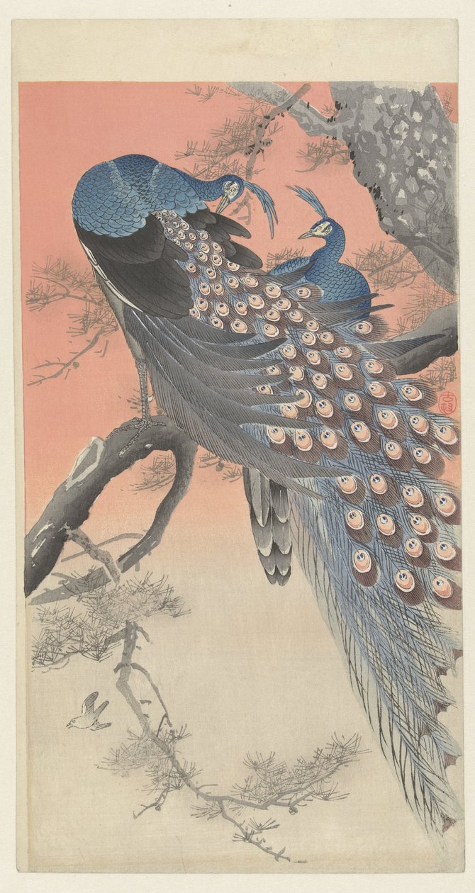 Bir ağaç dalı üzerinde iki tavus kuşu by Ohara Koson