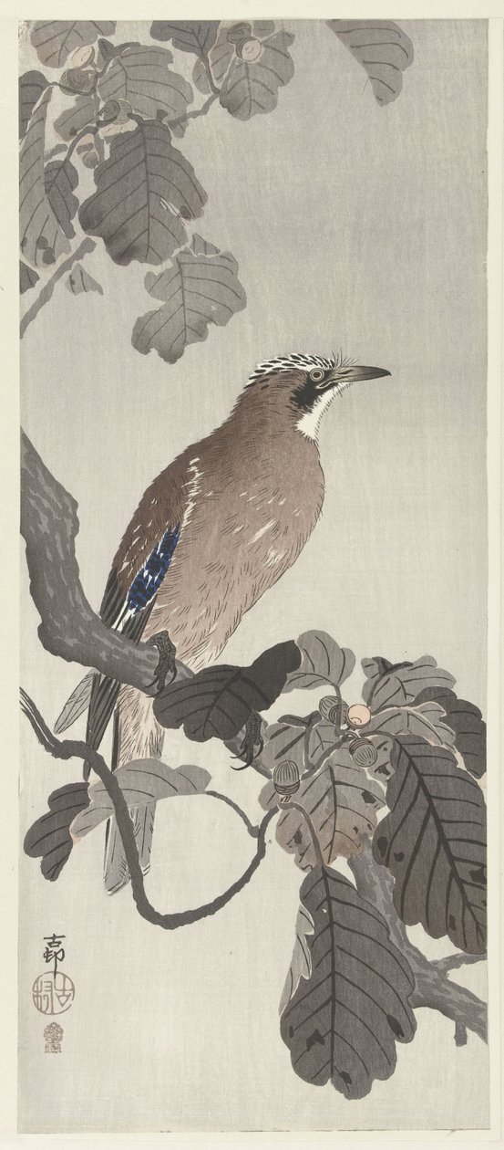 Ağaç dalı üzerinde Flaman gaai by Ohara Koson