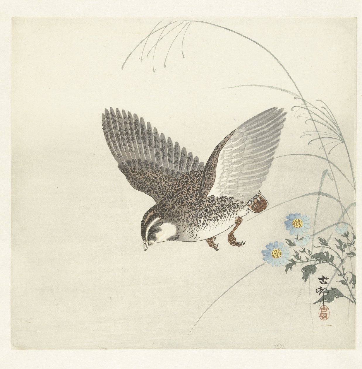 uçan bıldırcın by Ohara Koson