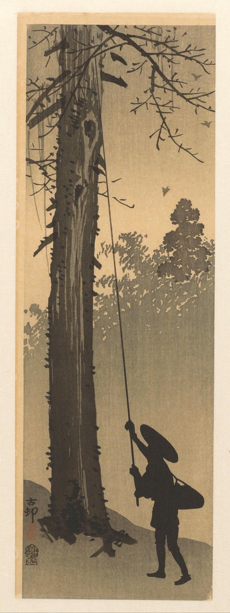 kuş yuvası soyguncusu by Ohara Koson
