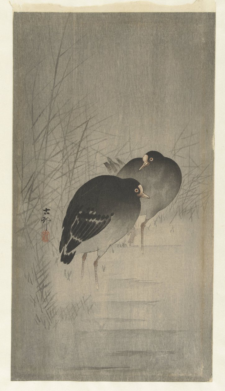 Sazlıklar arasında Moorhens by Ohara Koson