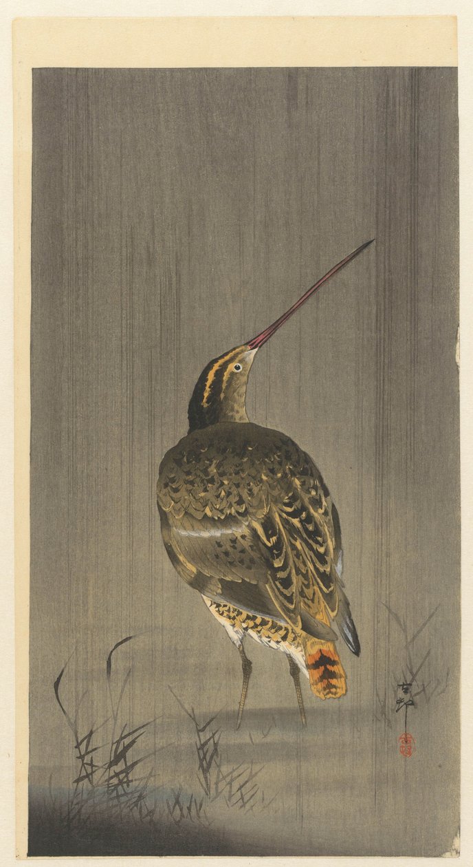 yağmurda su çulluğu by Ohara Koson