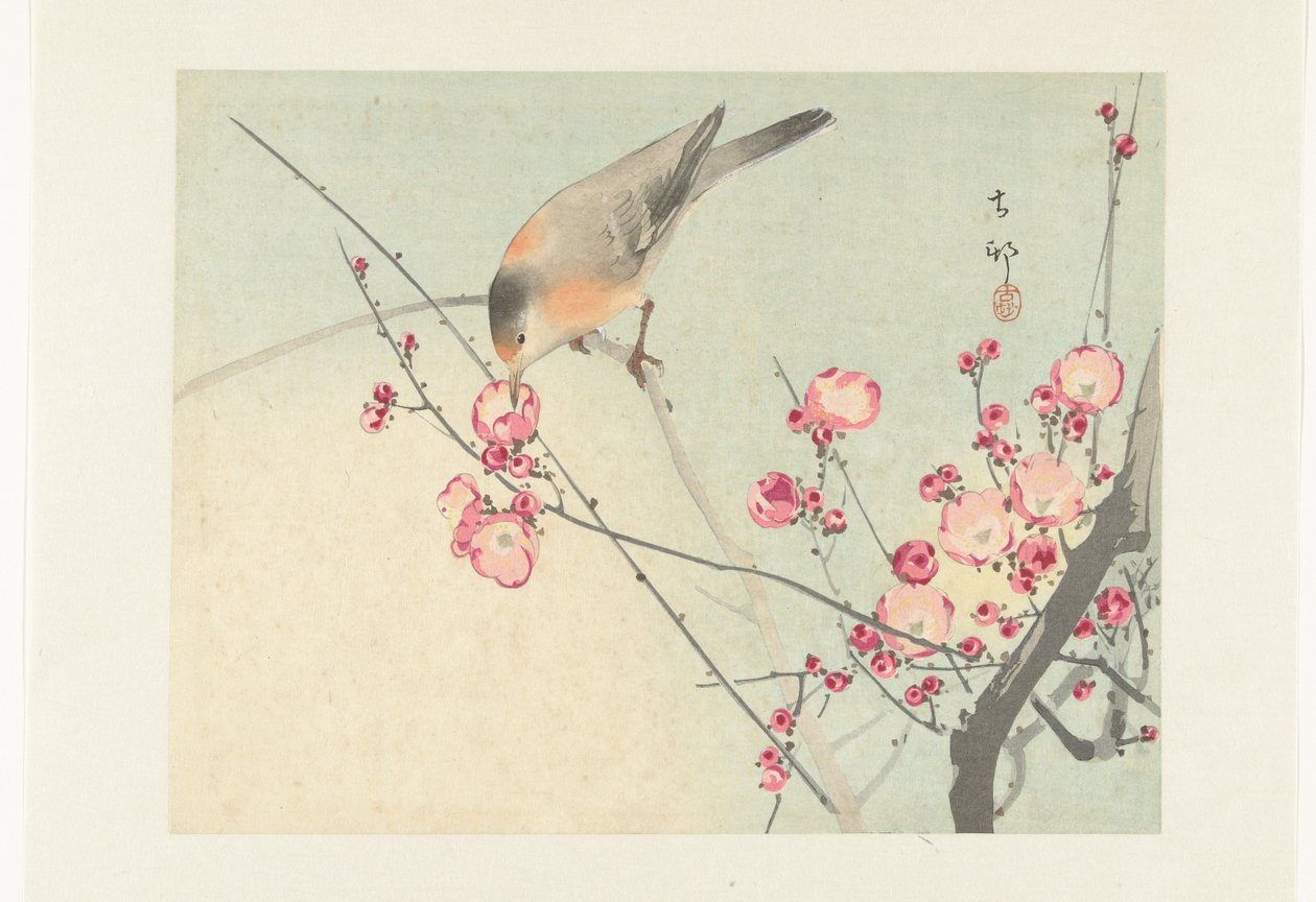 Çiçek dalında ötücü kuş by Ohara Koson
