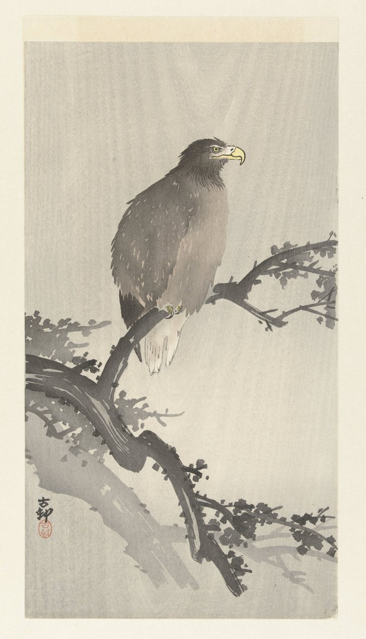 Dalda kel kartal by Ohara Koson