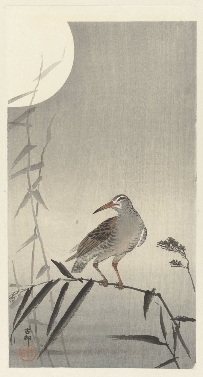Bambu dalı üzerinde siyah binici by Ohara Koson